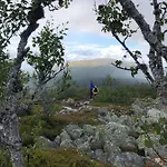 Sole, Trysil