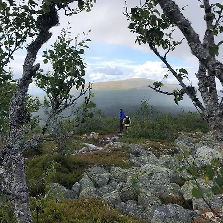 Sole, Trysil