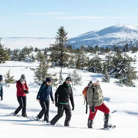 Sole, Trysil