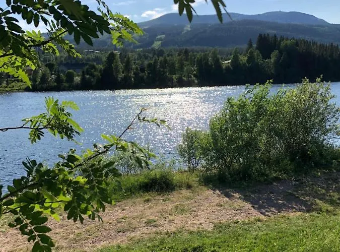 Sole, Bed & Breakfast Trysil