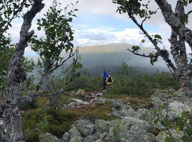 Sole, Trysil