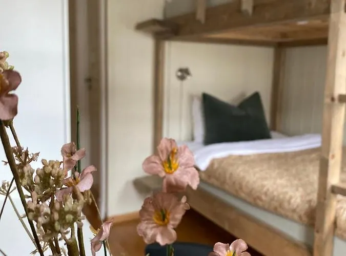 Bed & Breakfast Sole, Trysil