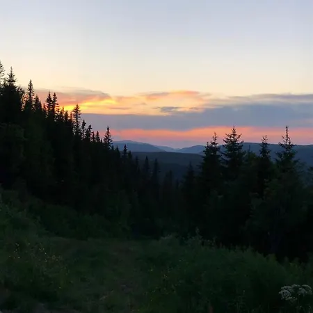 Oda ve Kahvaltı Sole,