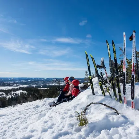 Sole, * Trysil