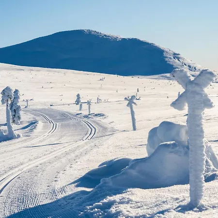 Sole, Trysil