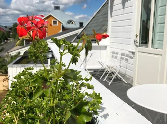 Bed & Breakfast Sole, Trysil