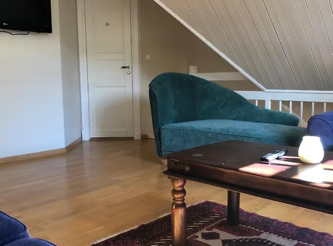 Sole, Bed & Breakfast Trysil