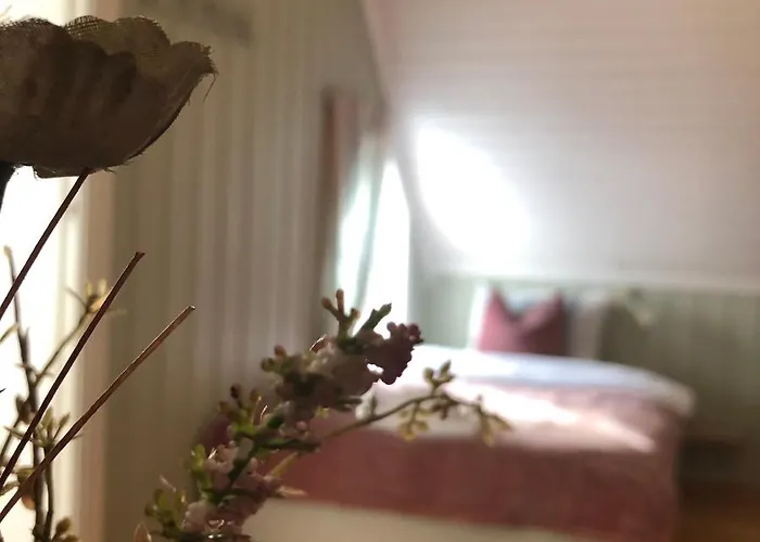 Bed & Breakfast Sole, Trysil