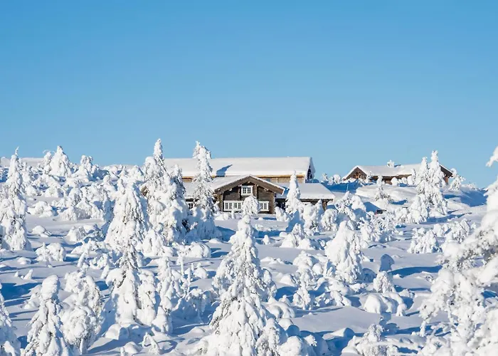 Sole, Bed & Breakfast